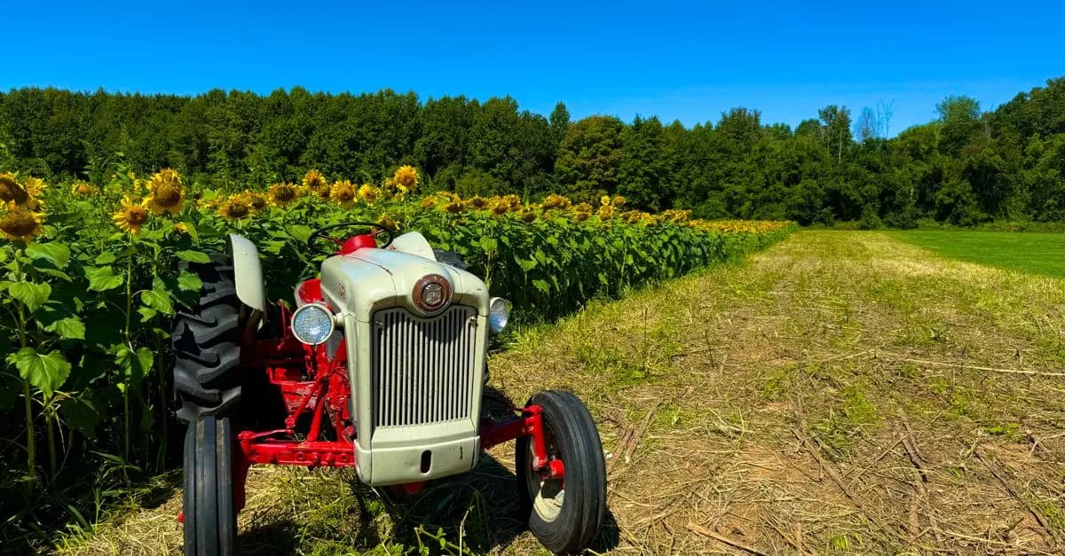 Guide d'achat des meilleures barres de traction agricoles