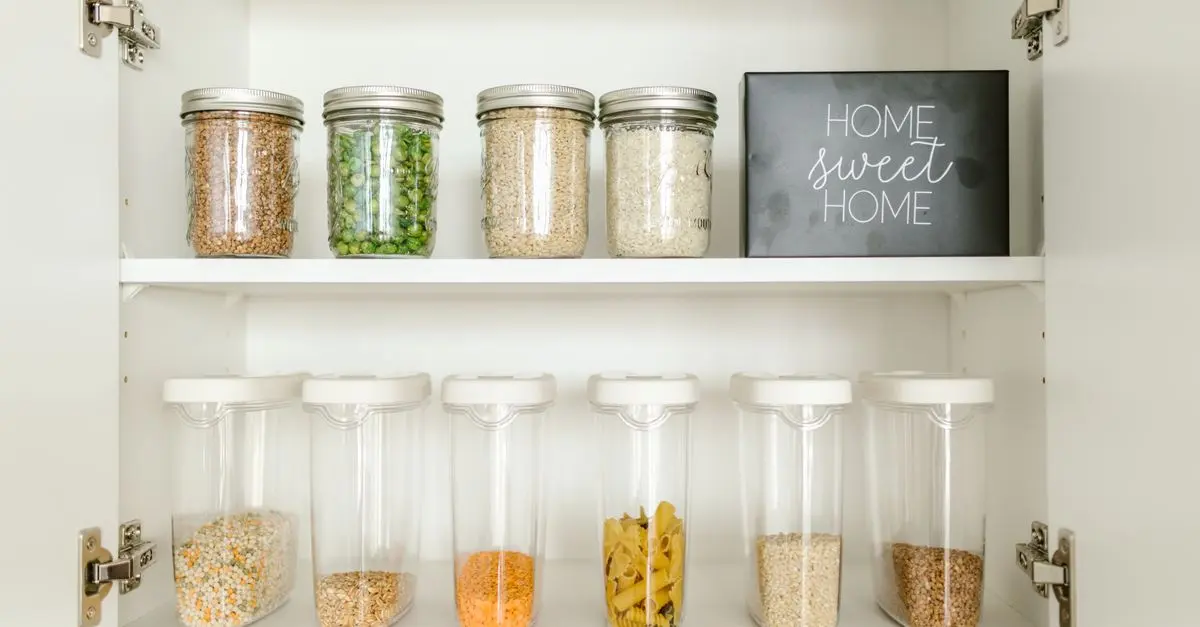 Meilleur Système de Stockage d'Aliments pour Animaux