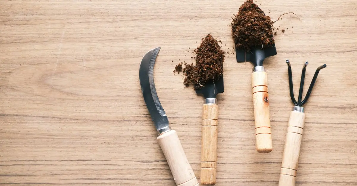 Les Meilleurs Outils de Désherbage Manuel